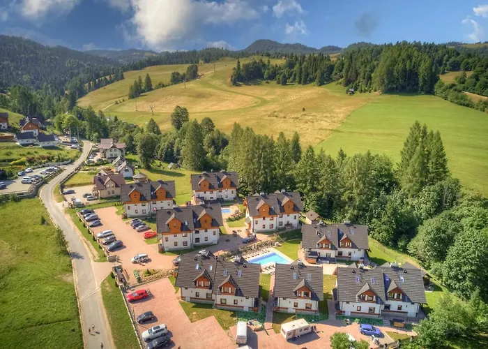 Czarna Owca